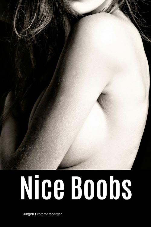 Cover of the book Nice Boobs by Jürgen Prommersberger, Jürgens e-book Shop