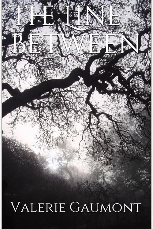 Cover of the book The Line Between by Valerie Gaumont, Valerie Gaumont