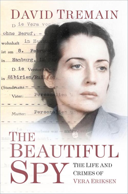 Cover of the book The Beautiful Spy by David Tremain, The History Press