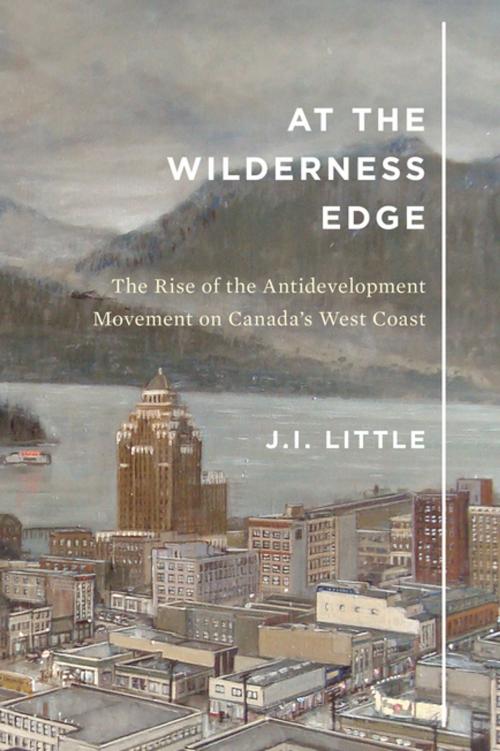 Cover of the book At the Wilderness Edge by J.I. Little, MQUP
