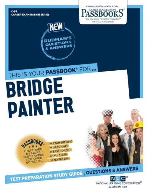 Cover of the book Bridge Painter by National Learning Corporation, National Learning Corporation