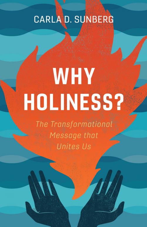 Cover of the book Why Holiness? by , The Foundry Publishing