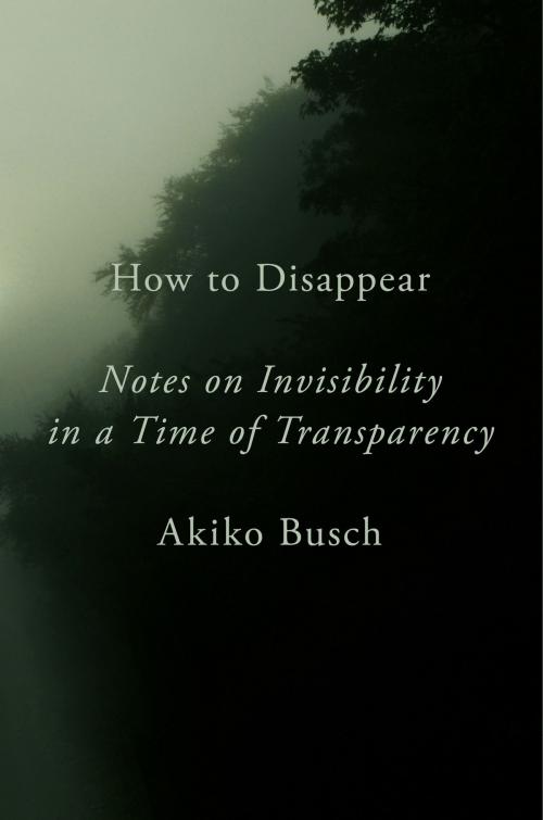 Cover of the book How to Disappear by Akiko Busch, Penguin Publishing Group