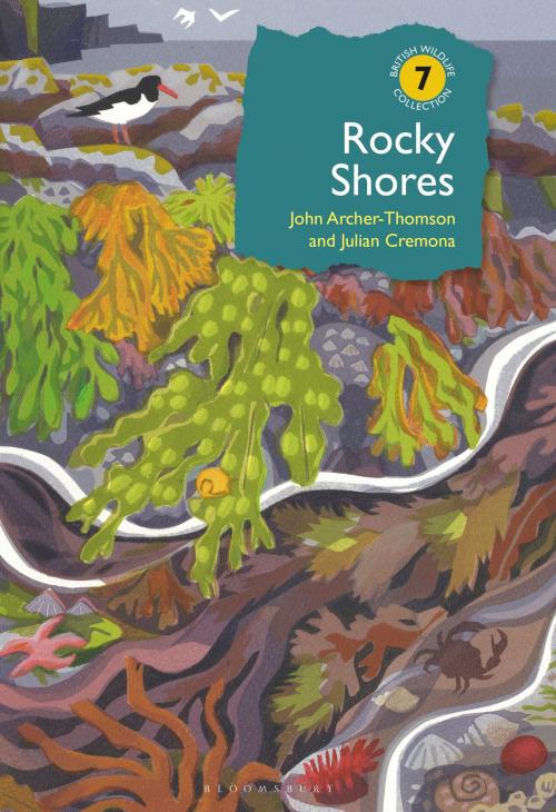 Cover of the book Rocky Shores by John Archer-Thomson, Julian Cremona, Bloomsbury Publishing