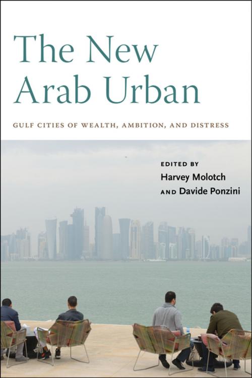 Cover of the book The New Arab Urban by , NYU Press