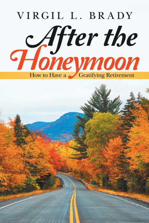 Cover of the book After the Honeymoon by Virgil L. Brady, iUniverse