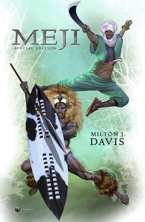 Cover of the book Meji: 10th Anniversary Special Edition by Milton Davis, Milton Davis