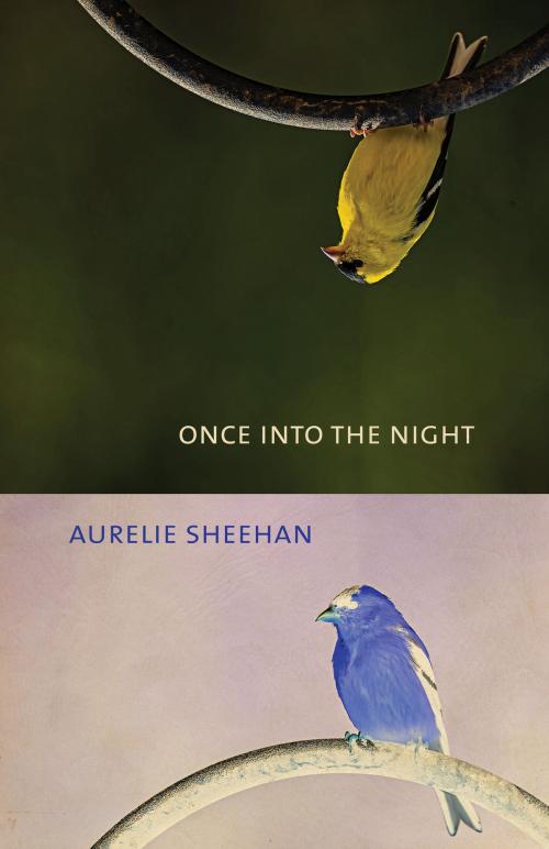 Cover of the book Once into the Night by Aurelie Sheehan, University of Alabama Press