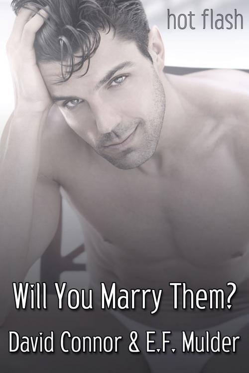 Cover of the book Will You Marry Them? by David Connor, E.F. Mulder, JMS Books LLC