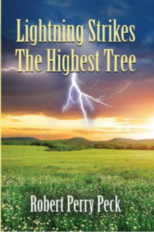 Cover of the book Lightning Strikes The Highest Tree by Robert Perry Peck, BookLocker.com, Inc.