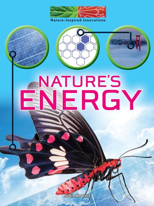 Cover of the book Nature's Energy by Robin Koontz, Rourke Educational Media