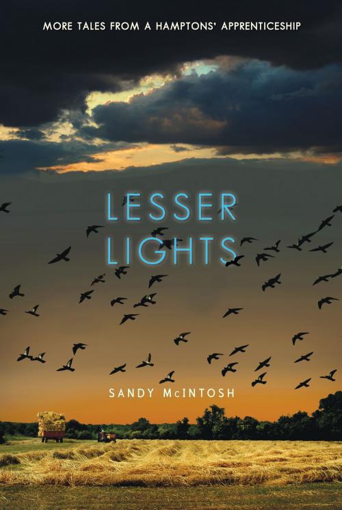 Cover of the book Lesser Lights by Sandy McIntosh, Marsh Hawk Press