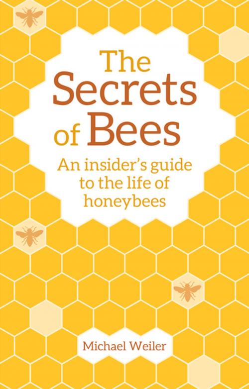 Cover of the book The Secrets of Bees by Michael Weiler, Floris Books