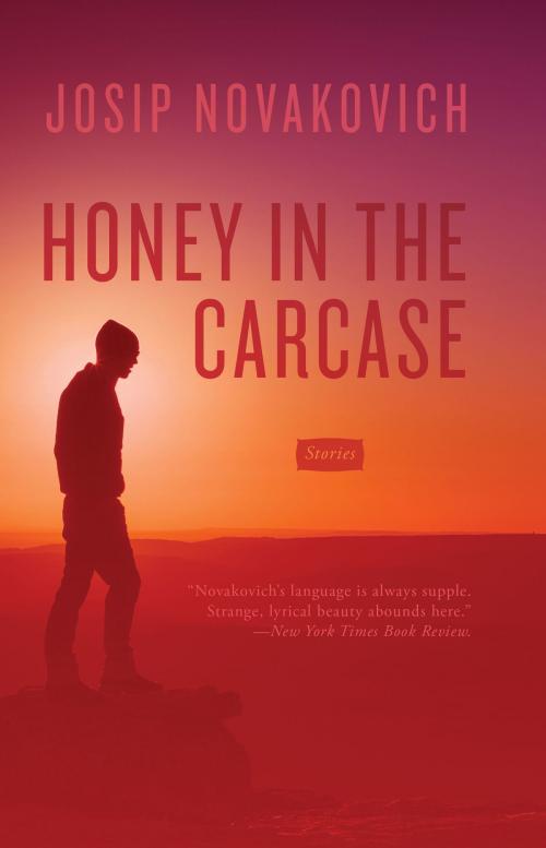 Cover of the book Honey in the Carcase by Josip Novakovich, Dzanc Books