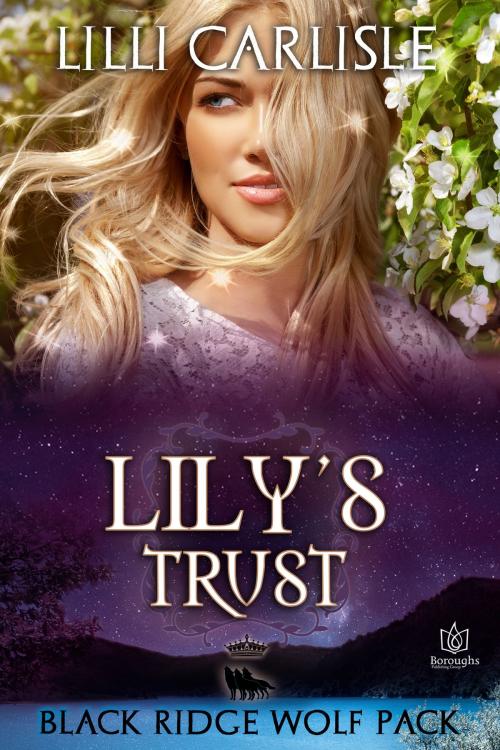 Cover of the book Lily's Trust by Lilli Carlisle, Boroughs Publishing Group