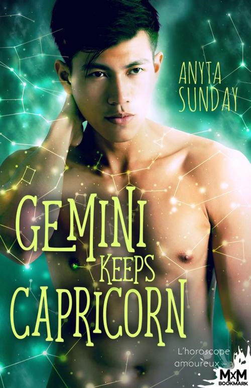 Cover of the book Gemini Keeps Capricorn by Anyta Sunday, MxM Bookmark