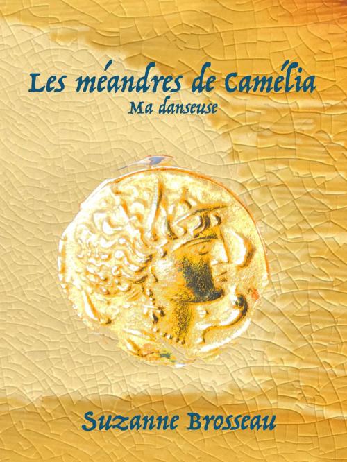 Cover of the book Les méandres de Camélia by Suzanne Brosseau, Michael Sandy Peters