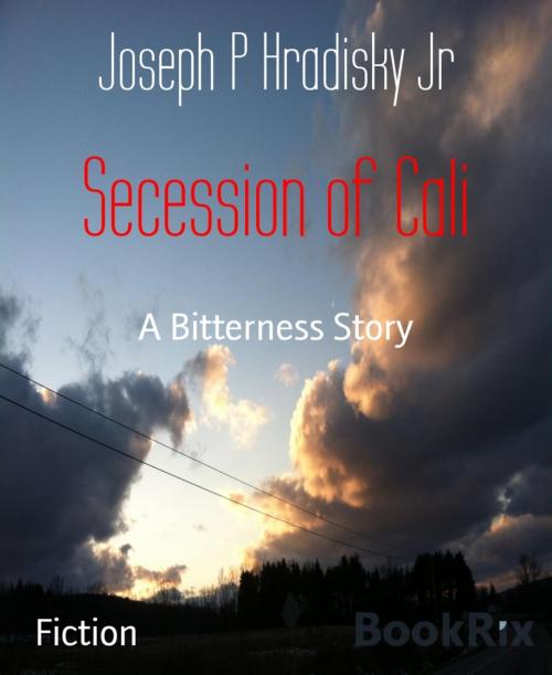 Cover of the book Secession of Cali by Joseph P Hradisky Jr, BookRix