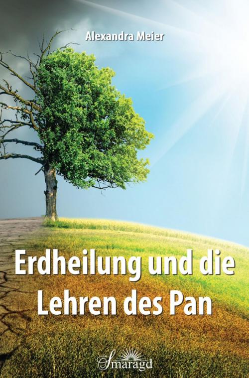 Cover of the book Erdheilung und die Lehren des Pan by Alexandra Meier, epubli