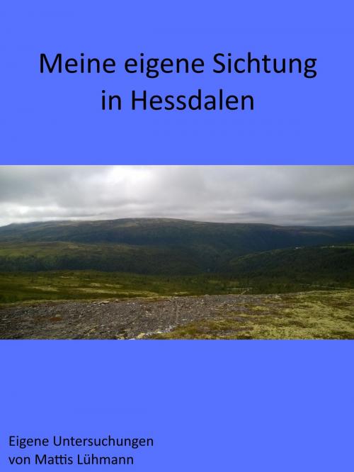 Cover of the book Meine eigene Sichtung in Hessdalen by Mattis Lühmann, Ufo-Wissen