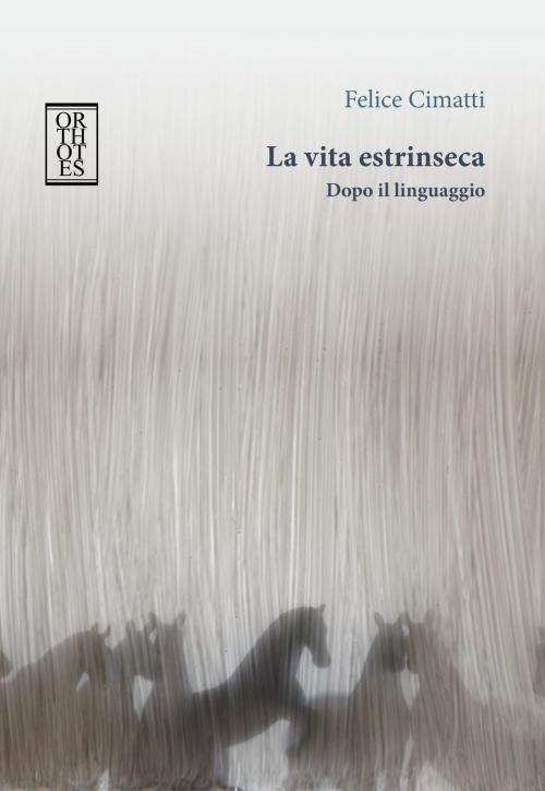 Cover of the book La vita estrinseca. Dopo il linguaggio by Felice Cimatti, Orthotes