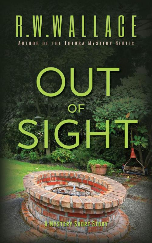 Cover of the book Out of Sight by R.W. Wallace, R.W. Wallace