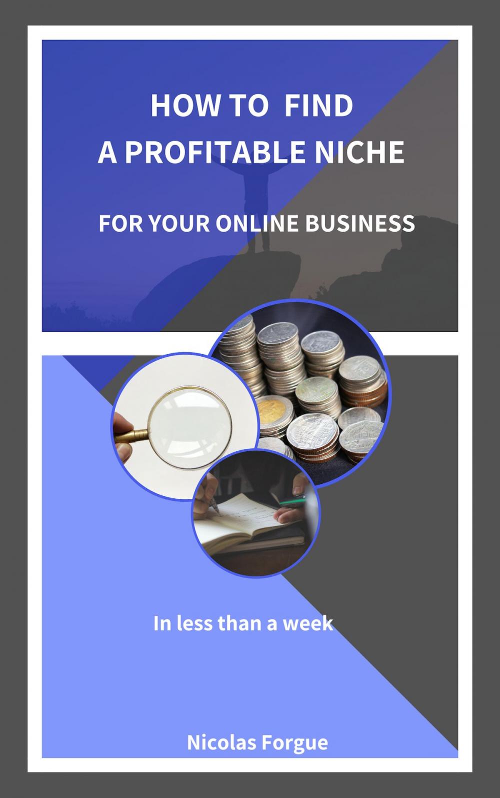 Big bigCover of How to find a profitable niche for your online business