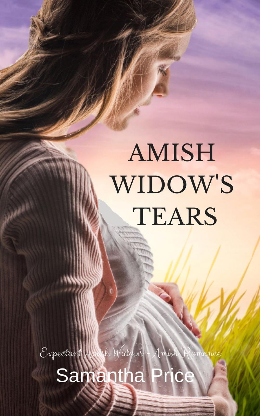 Big bigCover of Amish Widow's Tears