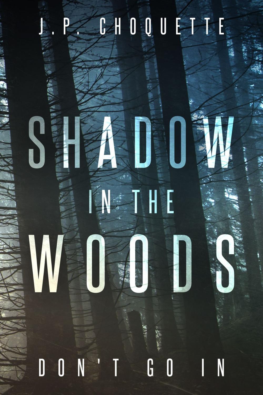 Big bigCover of Shadow in the Woods