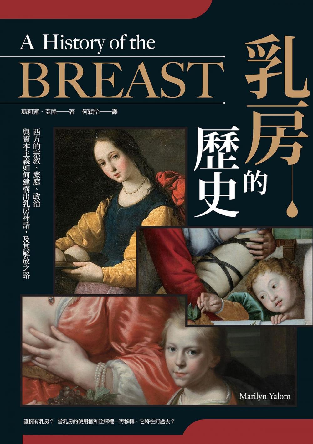 Big bigCover of 乳房的歷史：西方的宗教、家庭、政治與資本主義如何建構出乳房神話，及其解放之路【全球長銷21年經典‧成令方教授專文導讀】