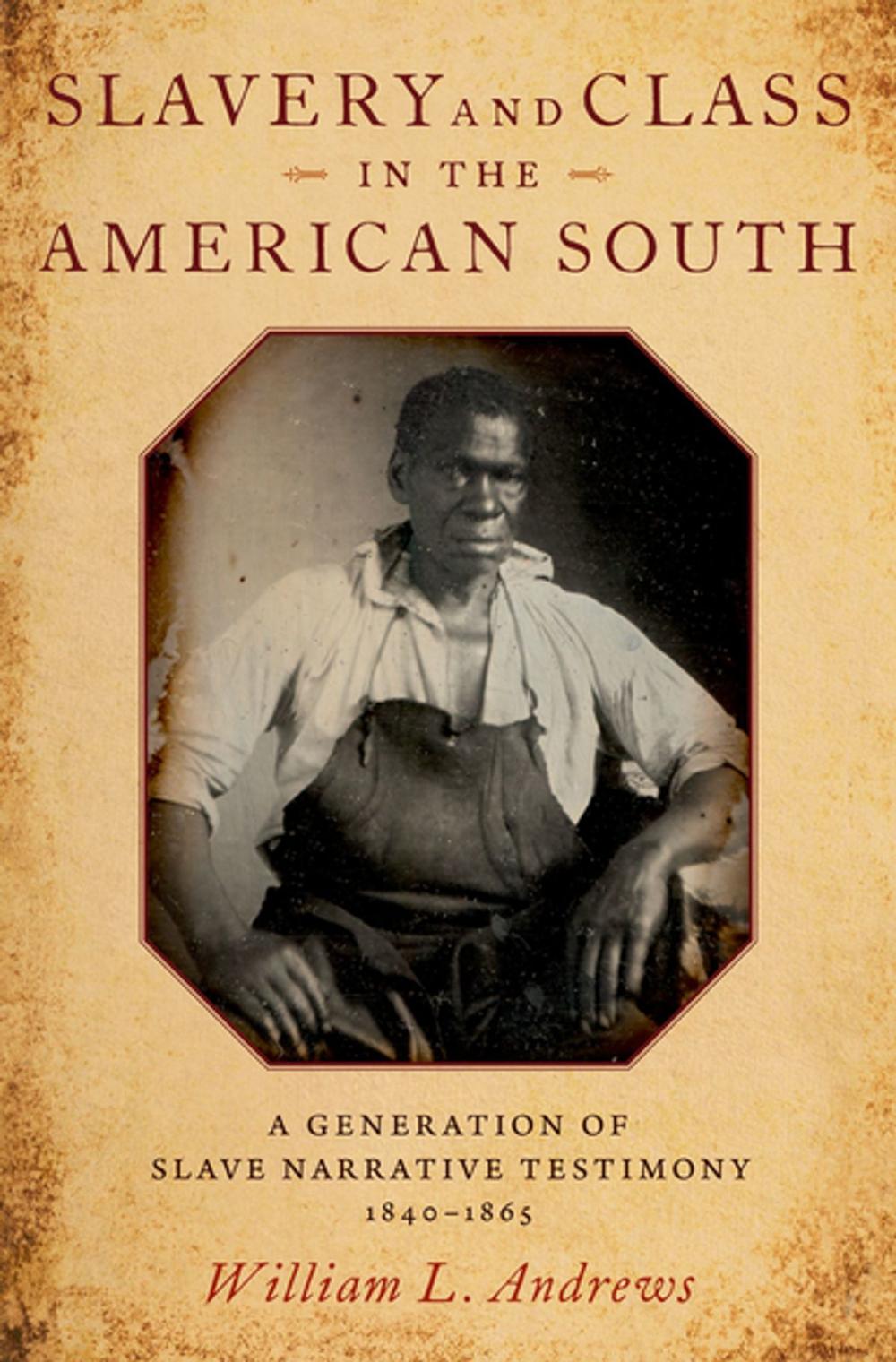 Big bigCover of Slavery and Class in the American South