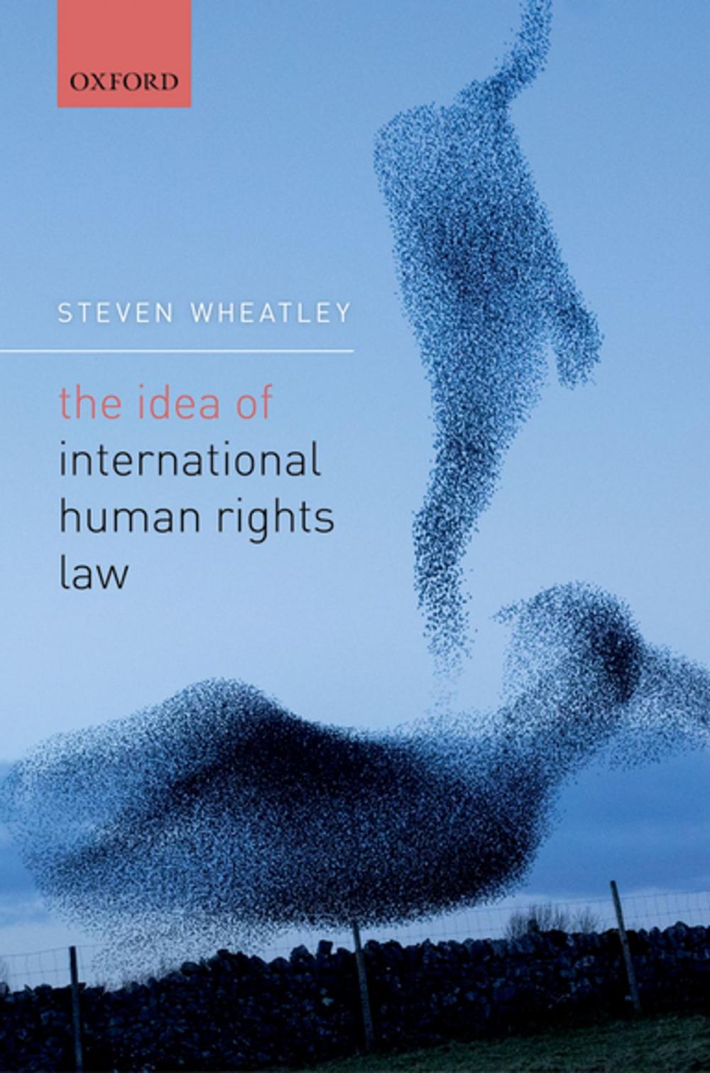 Big bigCover of The Idea of International Human Rights Law