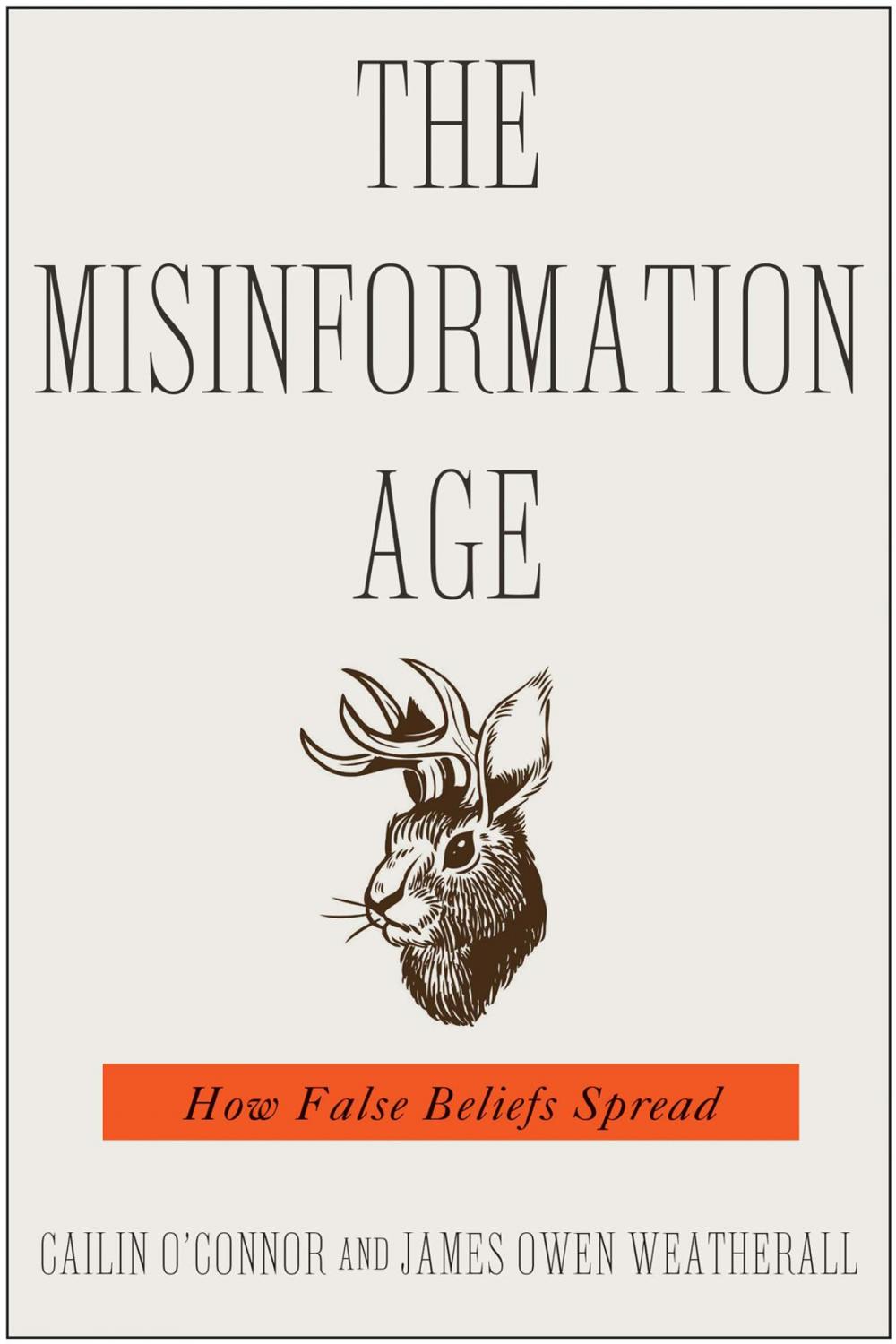 Big bigCover of The Misinformation Age