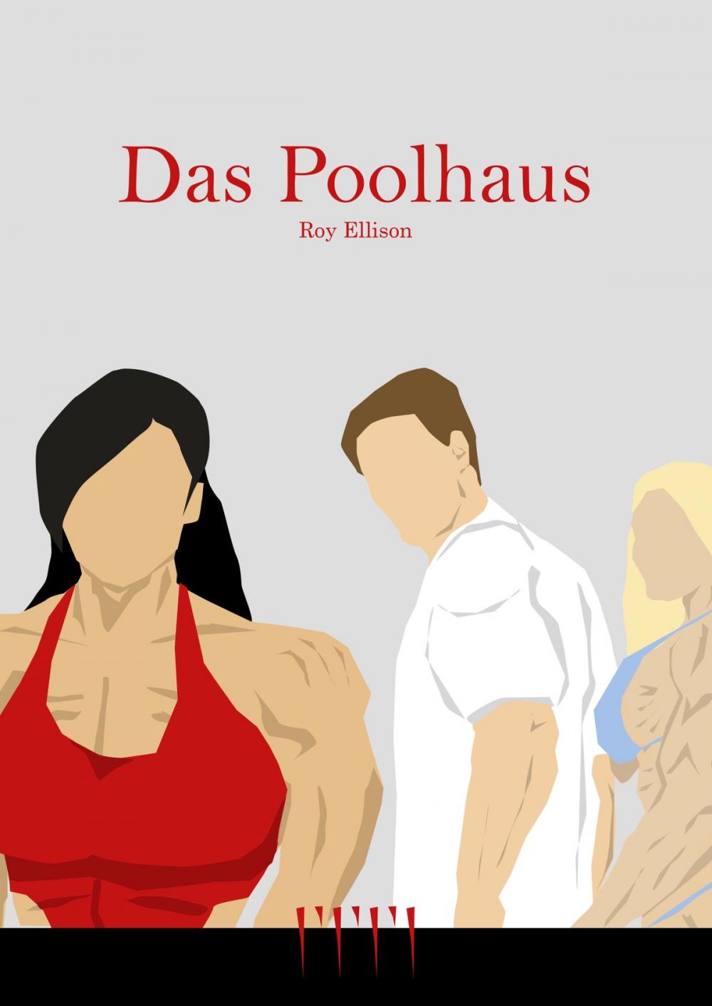 Big bigCover of Das Poolhaus