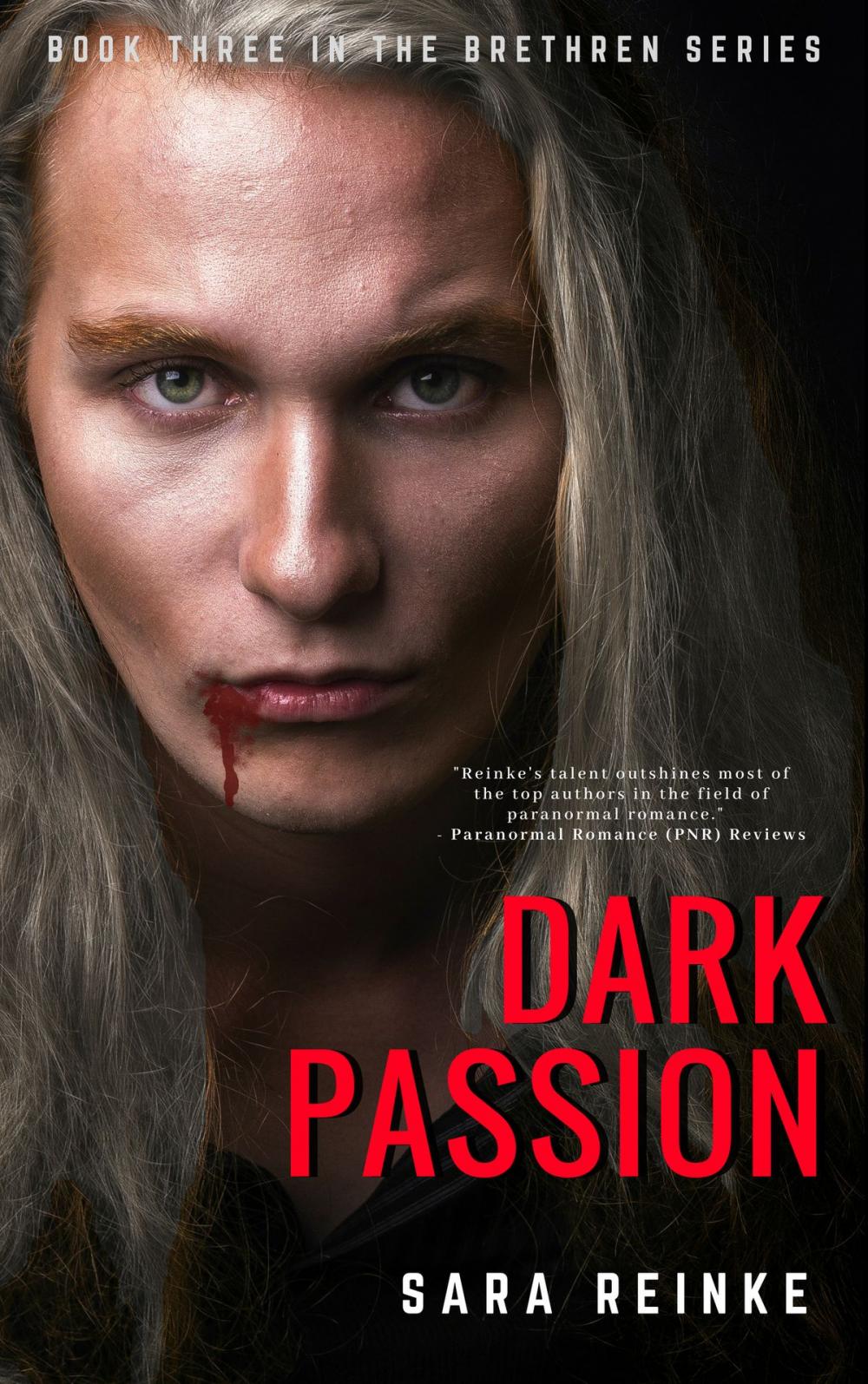 Big bigCover of Dark Passion (The Brethren Series, Book Three)