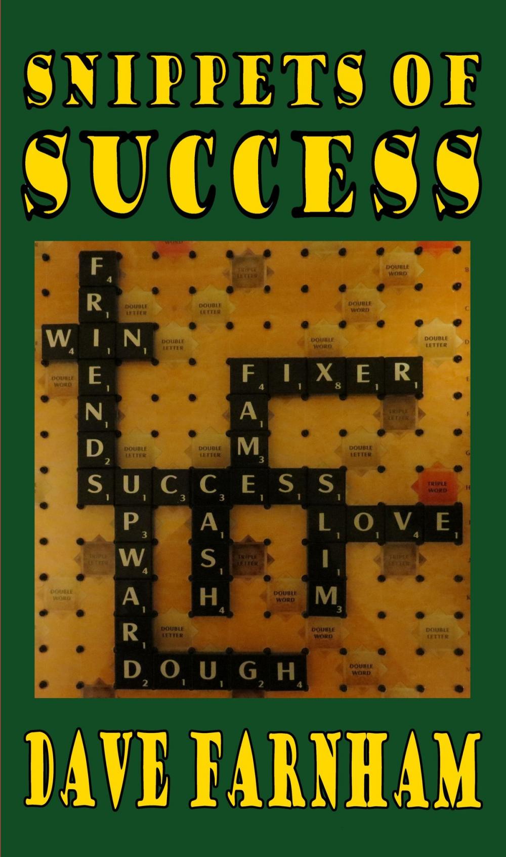 Big bigCover of Snippets of Success