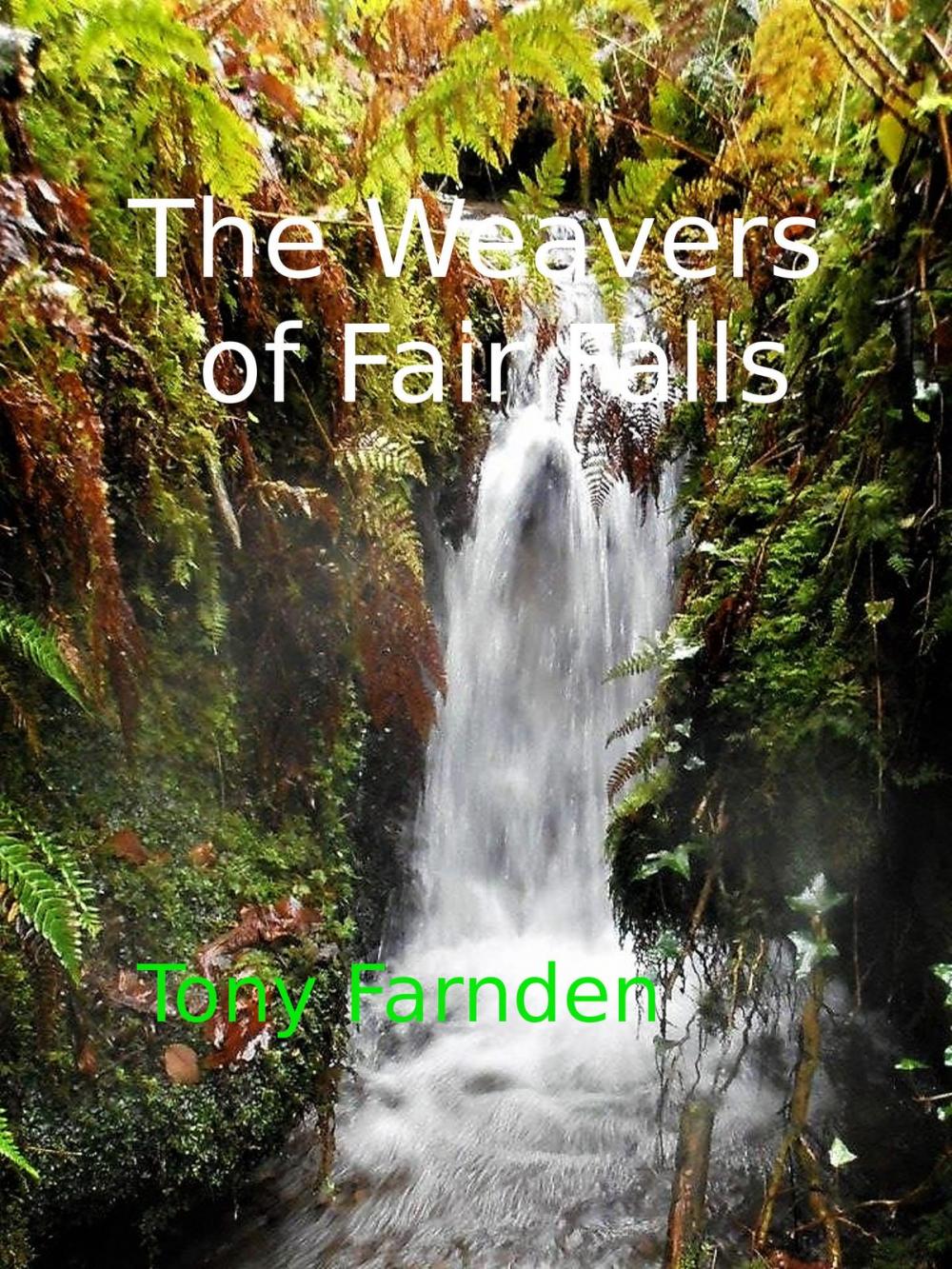 Big bigCover of The Weavers of Fair Falls