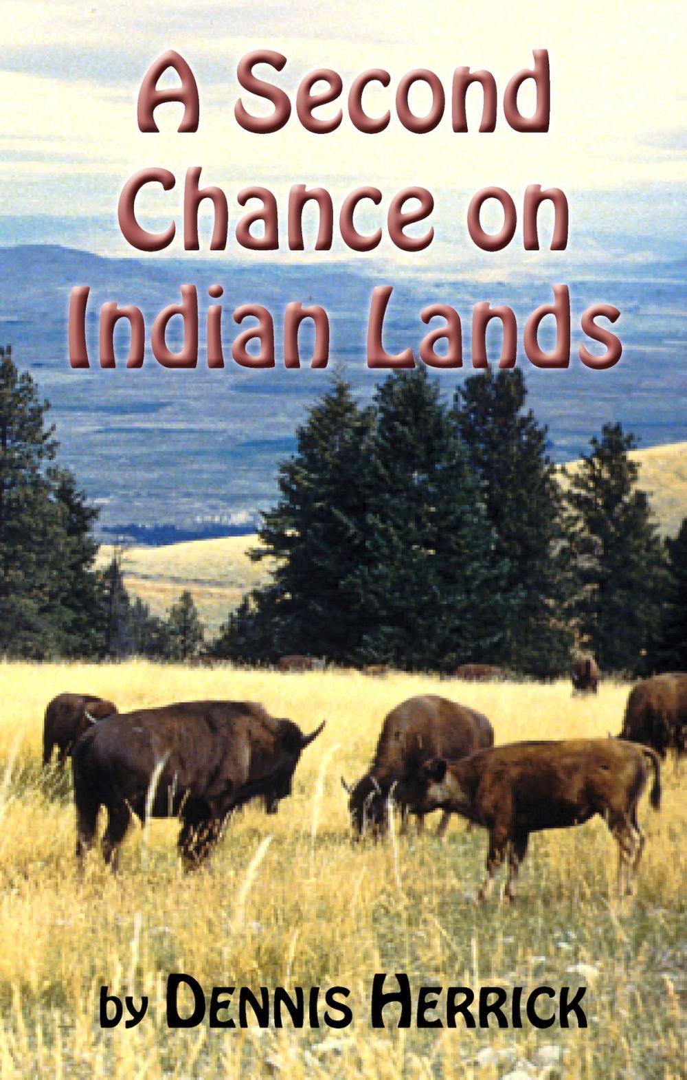 Big bigCover of A Second Chance on Indian Lands