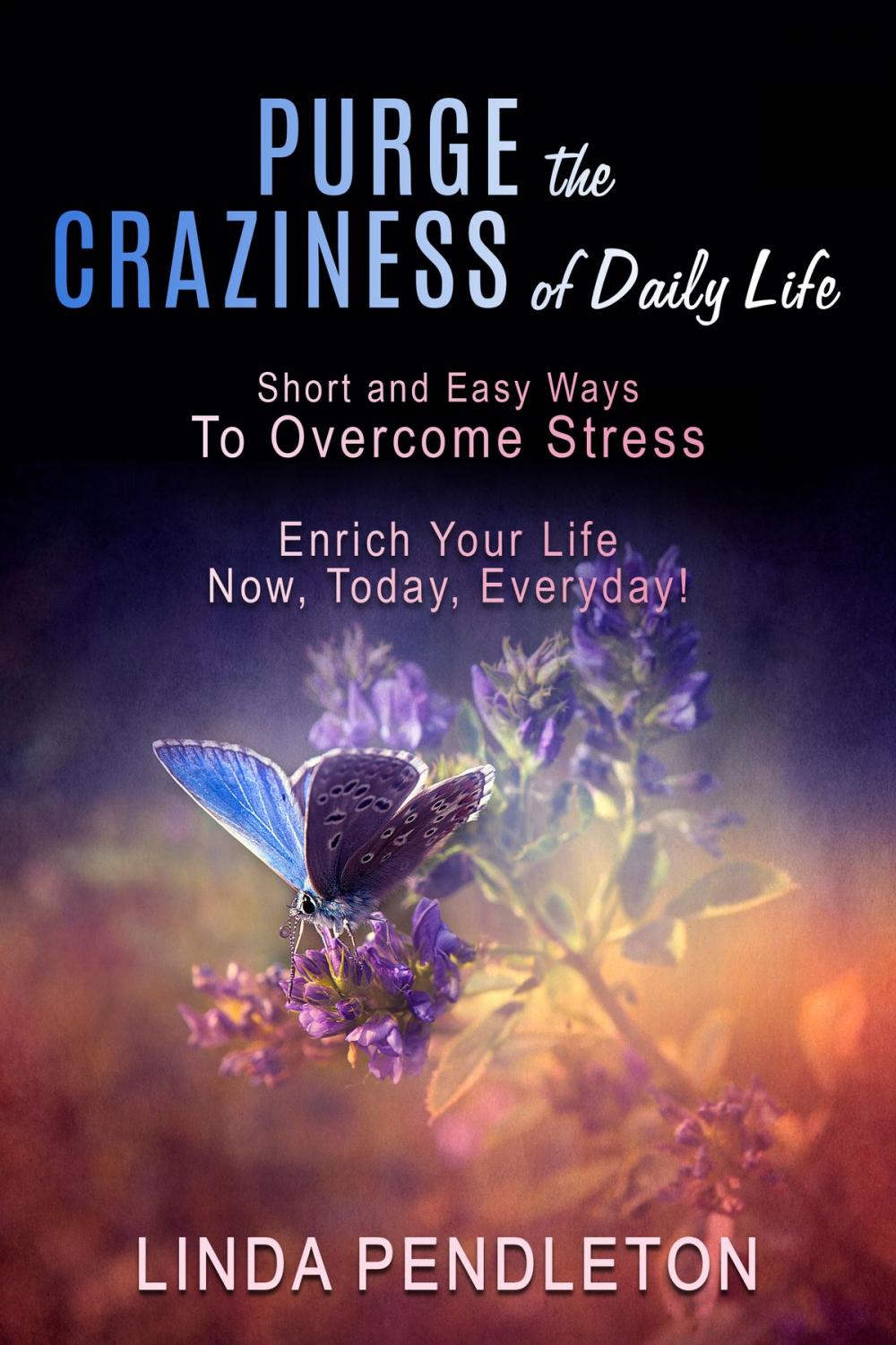 Big bigCover of Purge the Craziness of Daily Life: Short and Easy Ways to Overcome Stress