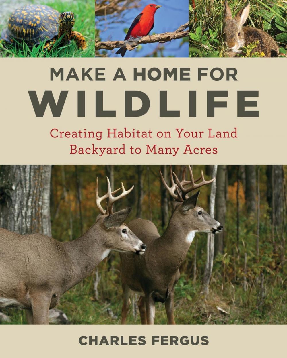 Big bigCover of Make a Home for Wildlife