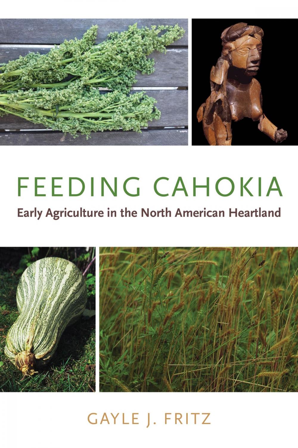 Big bigCover of Feeding Cahokia