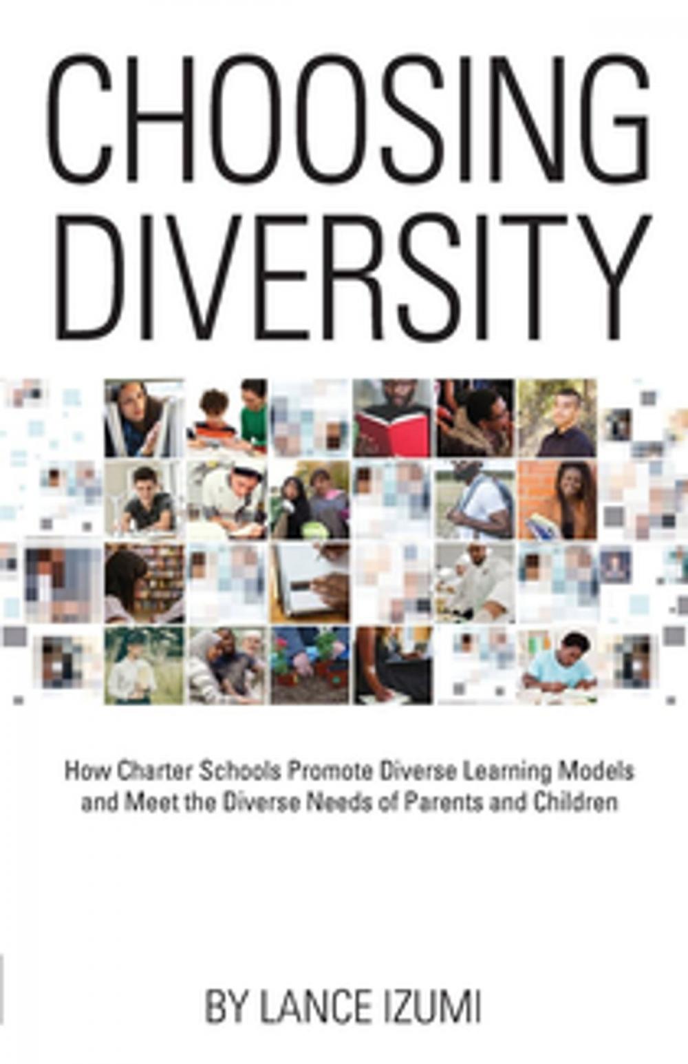 Big bigCover of Choosing Diversity