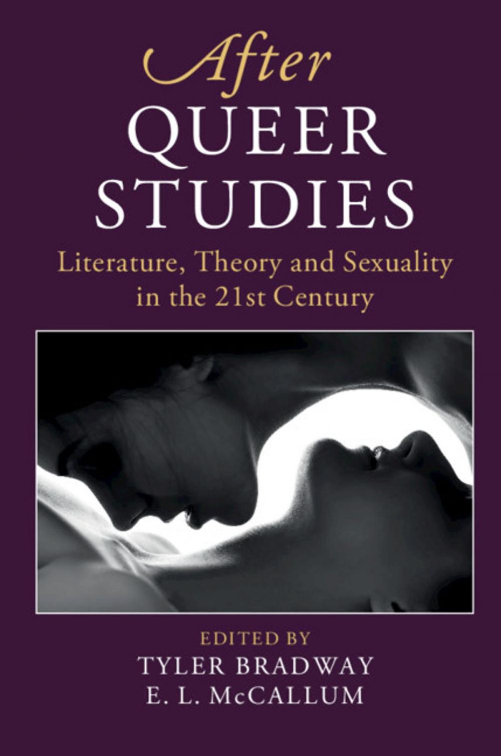 Big bigCover of After Queer Studies