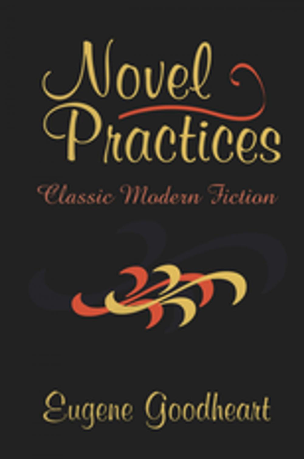 Big bigCover of Novel Practices