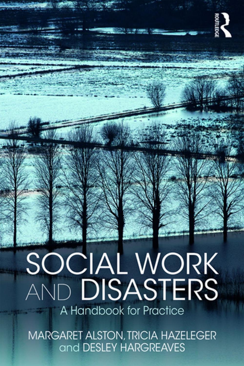 Big bigCover of Social Work and Disasters