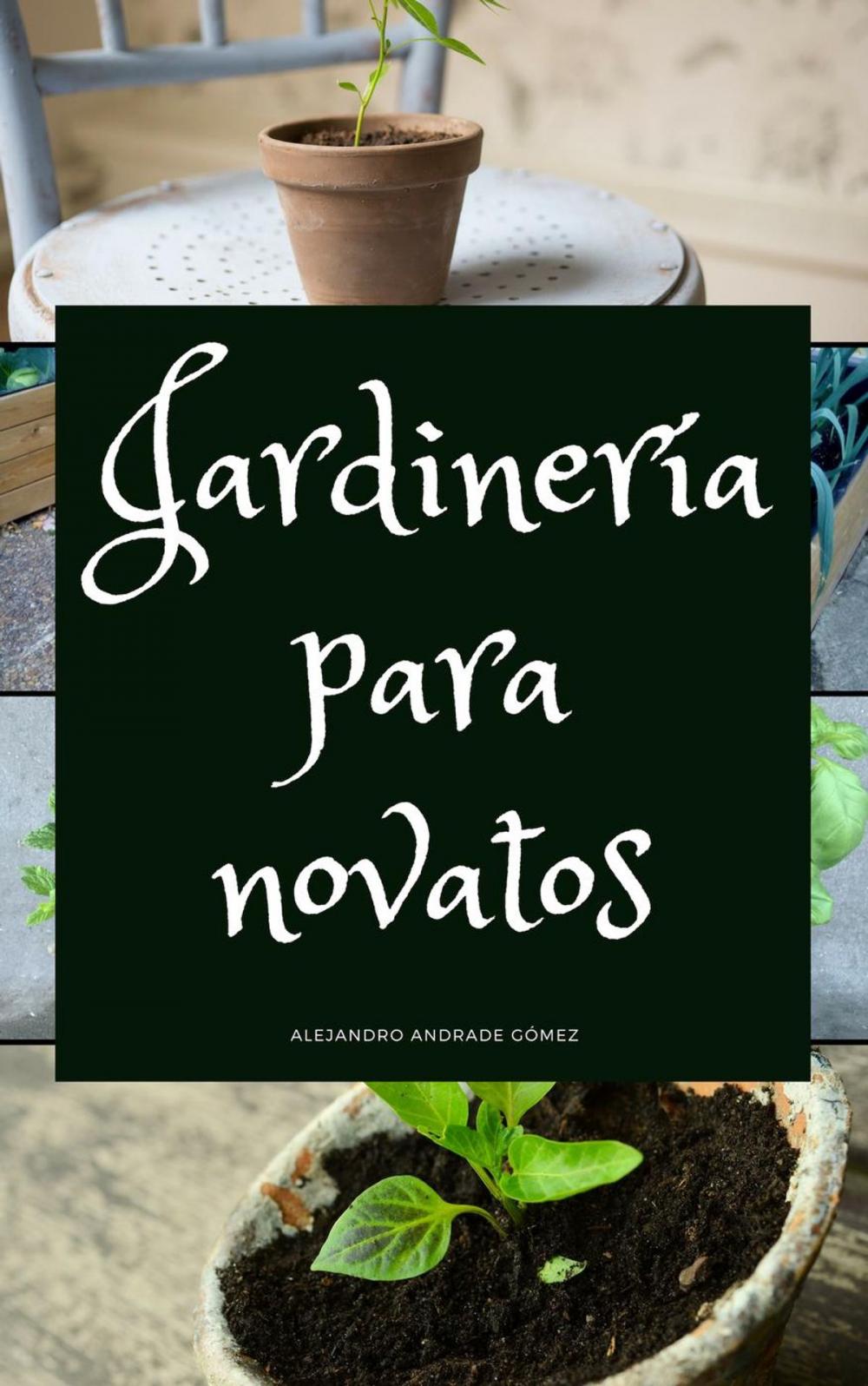 Big bigCover of Jardinería para Novatos