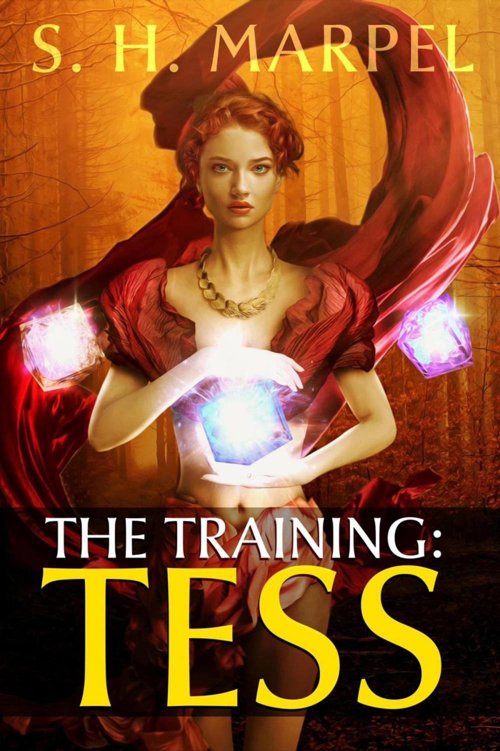 Big bigCover of The Training: Tess