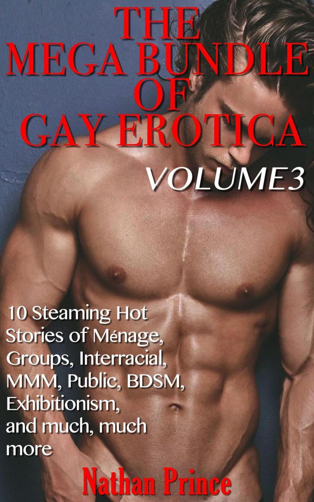 Big bigCover of The Mega Bundle of Gay Erotica: Volume 3