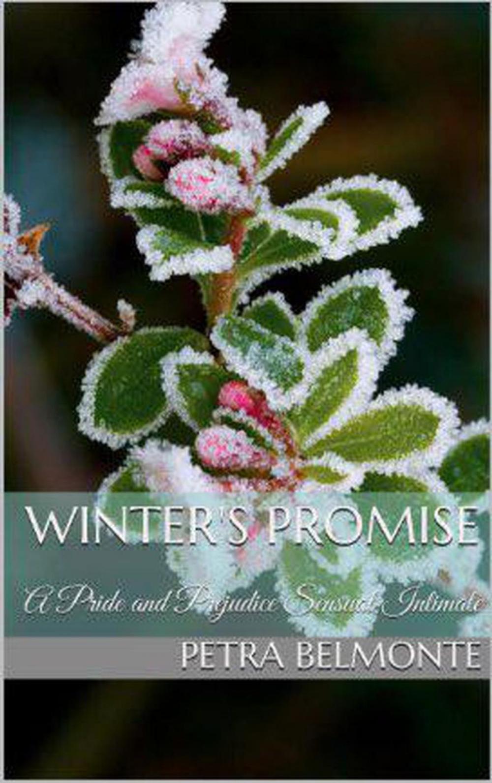 Big bigCover of Winter's Promise