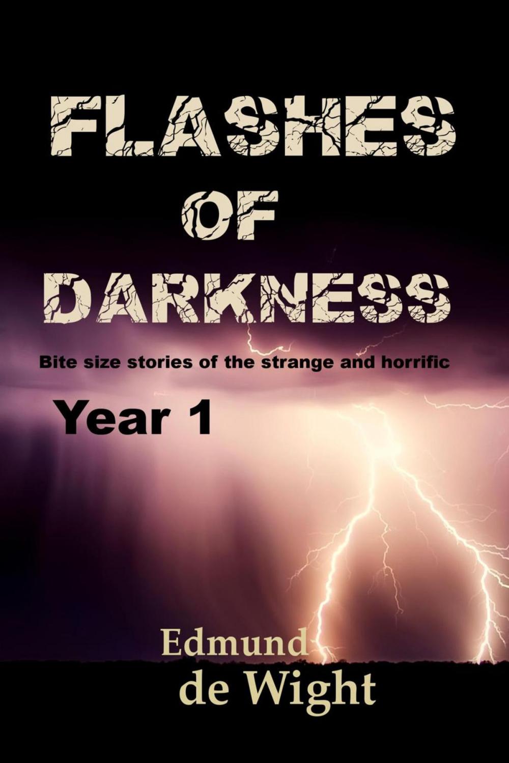 Big bigCover of Flashes of Darkness - Year 1